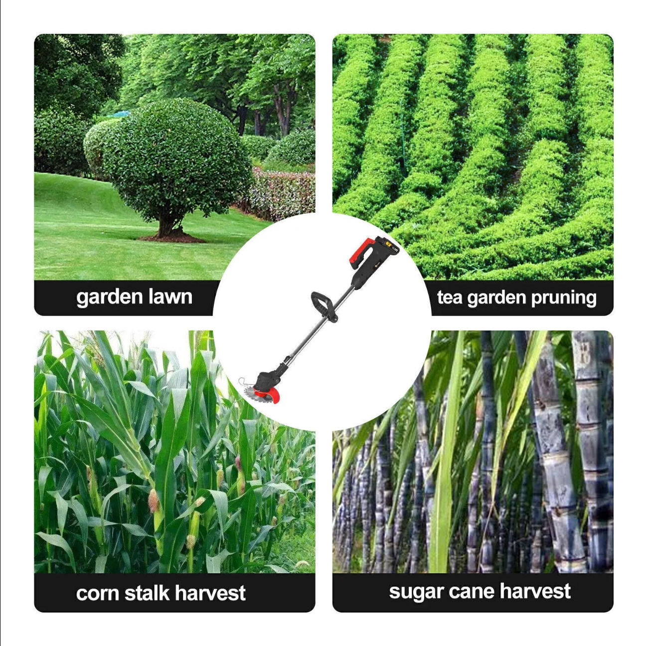 The Oz Bargain Store™ 36V Cordless 3-in-1 Electric Grass Trimmer & Brush Cutter – Whipper Snipper | Lawn Edger | Garden Mower